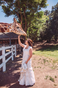 Saddlerock Ranch wedding bride and bride portraits with Stanley the Giraffe at the dome