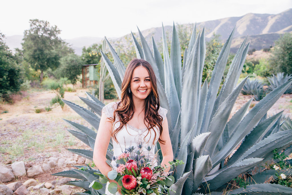 desert bridal portrait shot in front of large agave plant