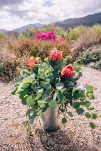 desert floral arrangement with king protea
