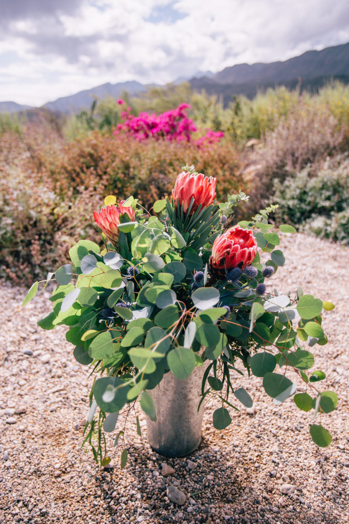 desert floral arrangement with king protea