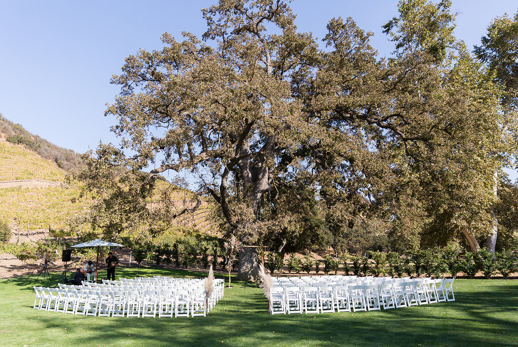 Ceremony under a big oak tree at Triunfo Creek Vineyards
