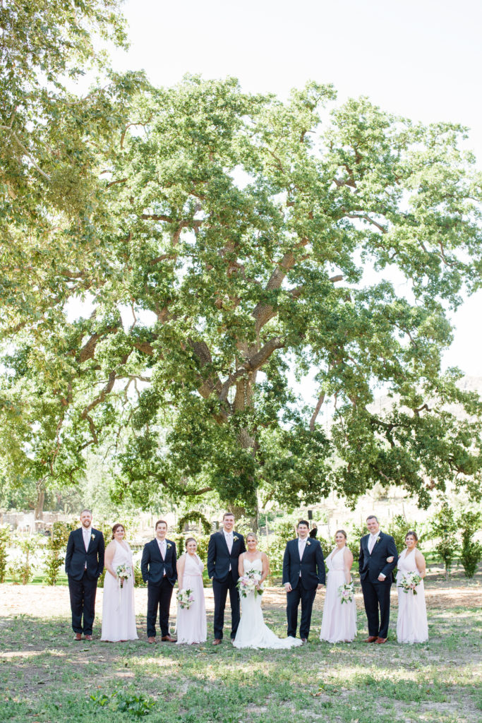 Triunfo Creek Vineyards wedding wedding party photos, blush bridesmaid dresses with navy groomsmen suits