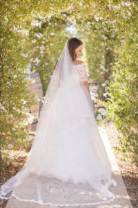 wedding at Sogno del Fiore winery in Santa Ynez, bride portrait shots with a long veil