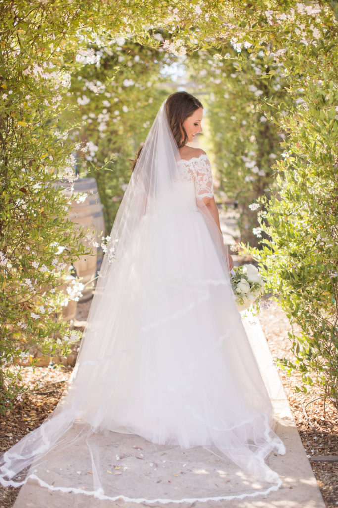 wedding at Sogno del Fiore winery in Santa Ynez, bride portrait shots with a long veil