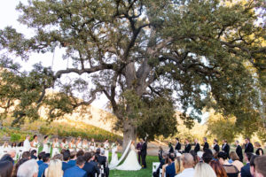 Royal Inspired Vineyard Wedding at Triunfo Creek Vineyards, wedding ceremony
