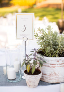 Royal Inspired Vineyard Wedding at Triunfo Creek Vineyards, wedding reception with simple white tablecloths and potted greenery as centerpieces, gold table numbers