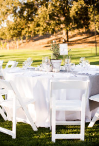 Royal Inspired Vineyard Wedding at Triunfo Creek Vineyards, wedding reception with simple white tablecloths and potted greenery as centerpieces