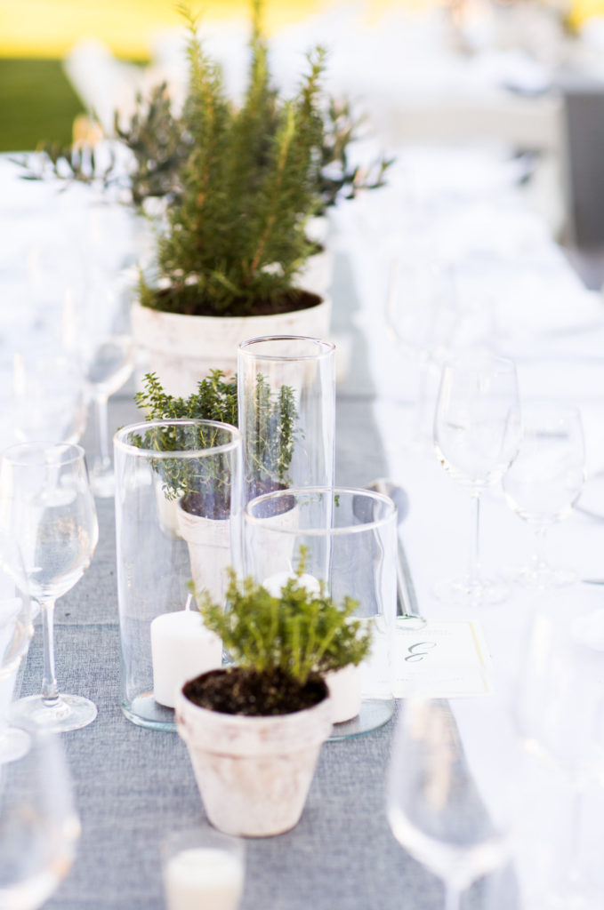 Royal Inspired Vineyard Wedding at Triunfo Creek Vineyards, wedding reception with simple white tablecloths and potted greenery as centerpieces