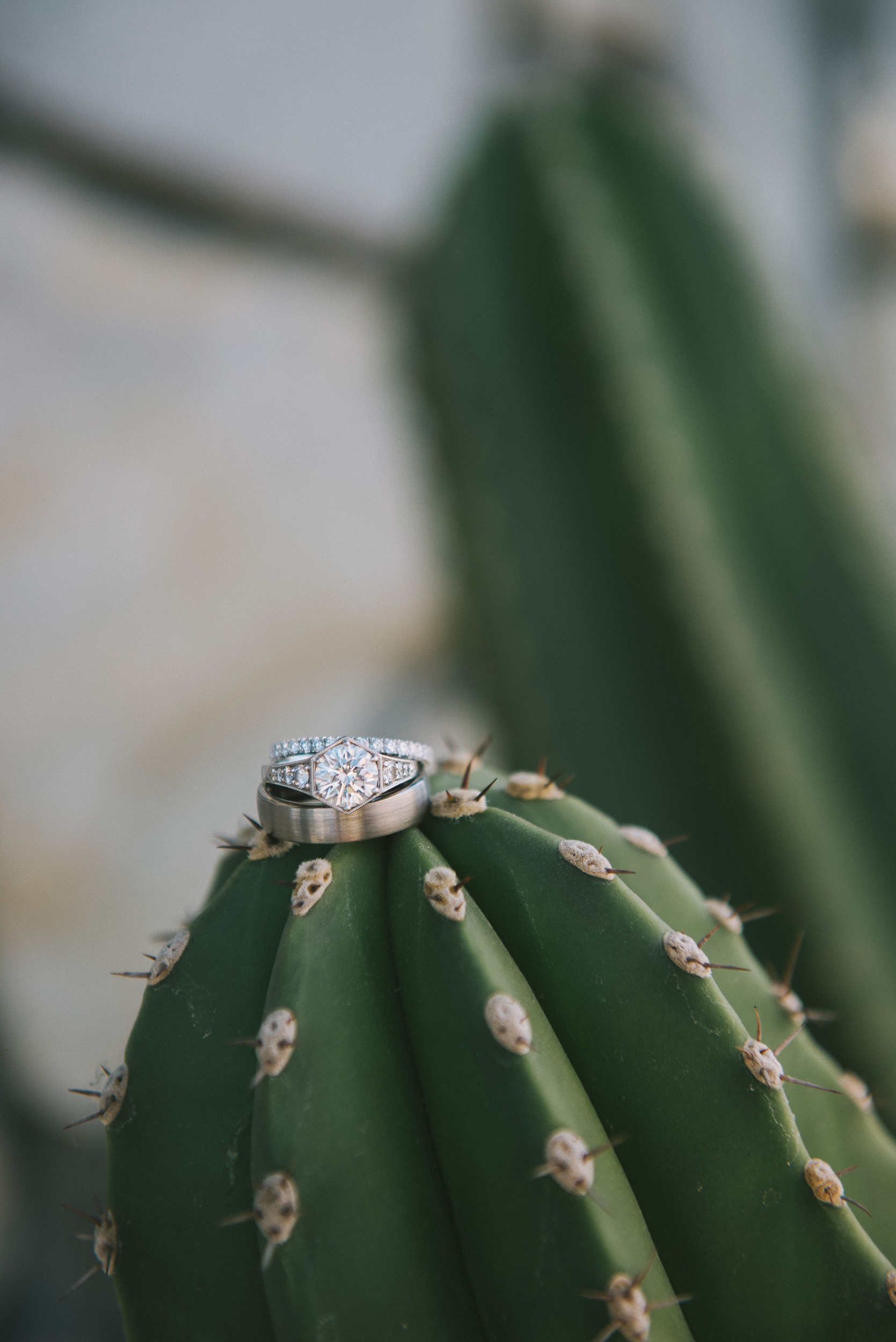 Wedding at the Ace Hotel in Palm Springs, wedding ring shot on cactus plants, desert wedding detail shots