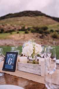simple rustic wedding at Triunfo Creek Vineyards, wedding reception, hydrangea centerpiece