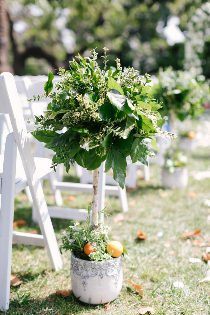 An Al Fresco Wedding ceremony at the Valley Hunt club, ceremony aisle with fruit
