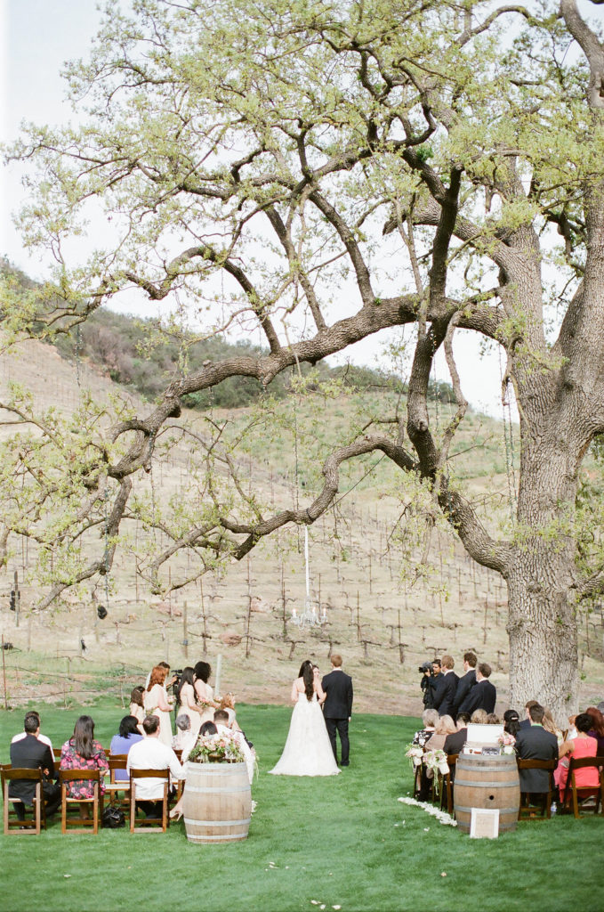 A sweet, small wedding ceremony at Triunfo Creek Vineyards