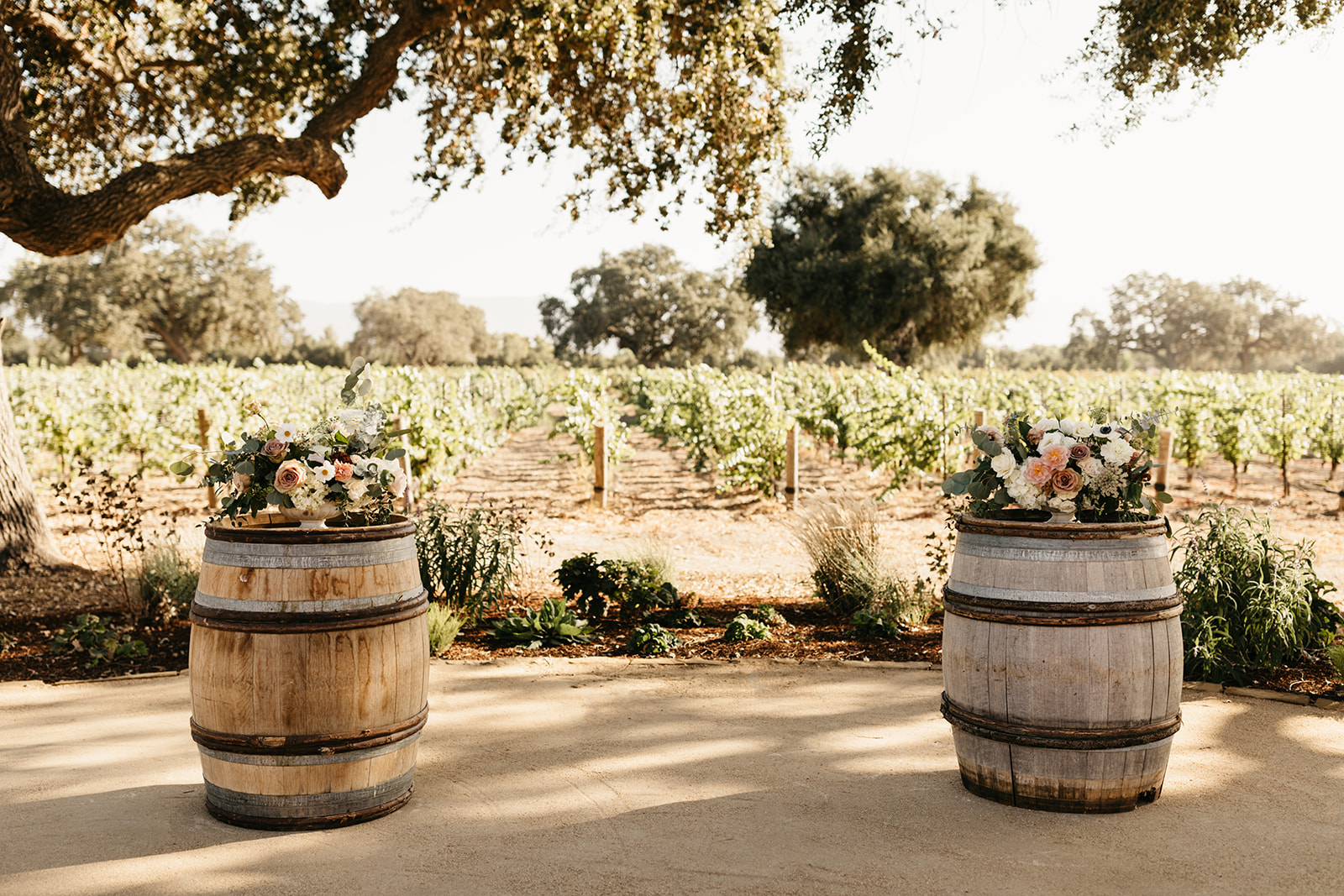 wine barrels with floral arrangements for winery wedding