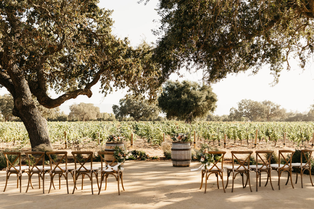 An intimate vineyard wedding ceremony at Roblar winery with 10 cross back chairs, wedding planning advice, finding your perfect wedding venue