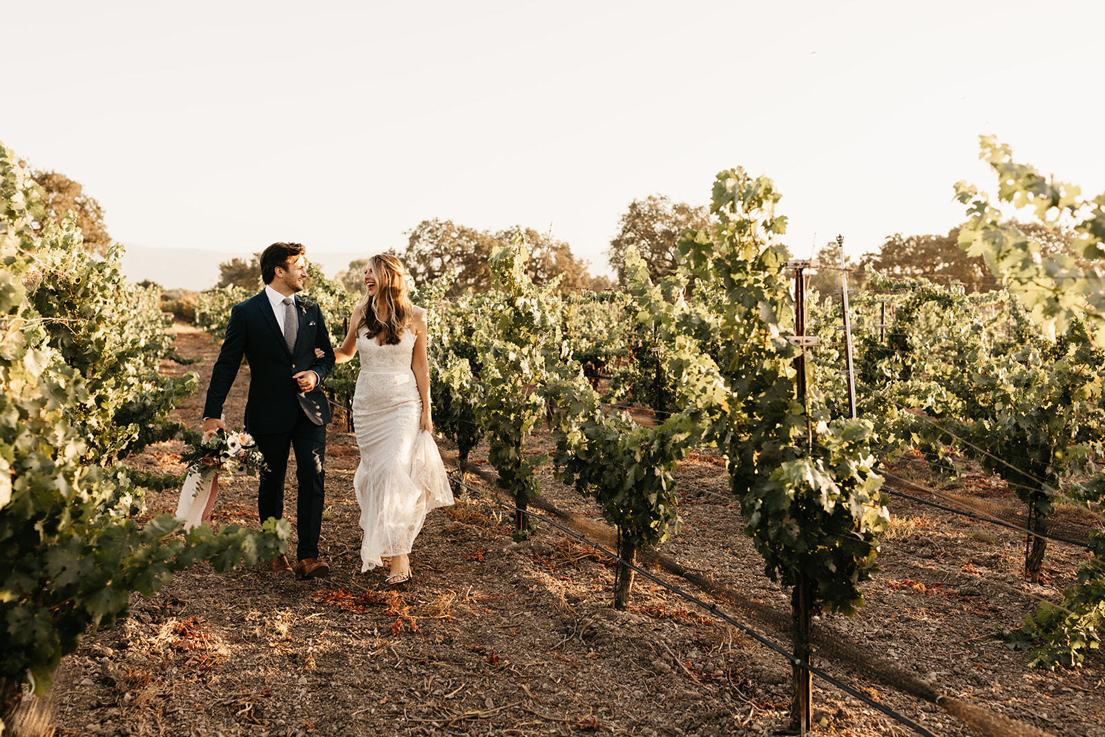 bride and groom portrait shot in vineyard at Roblar Winery