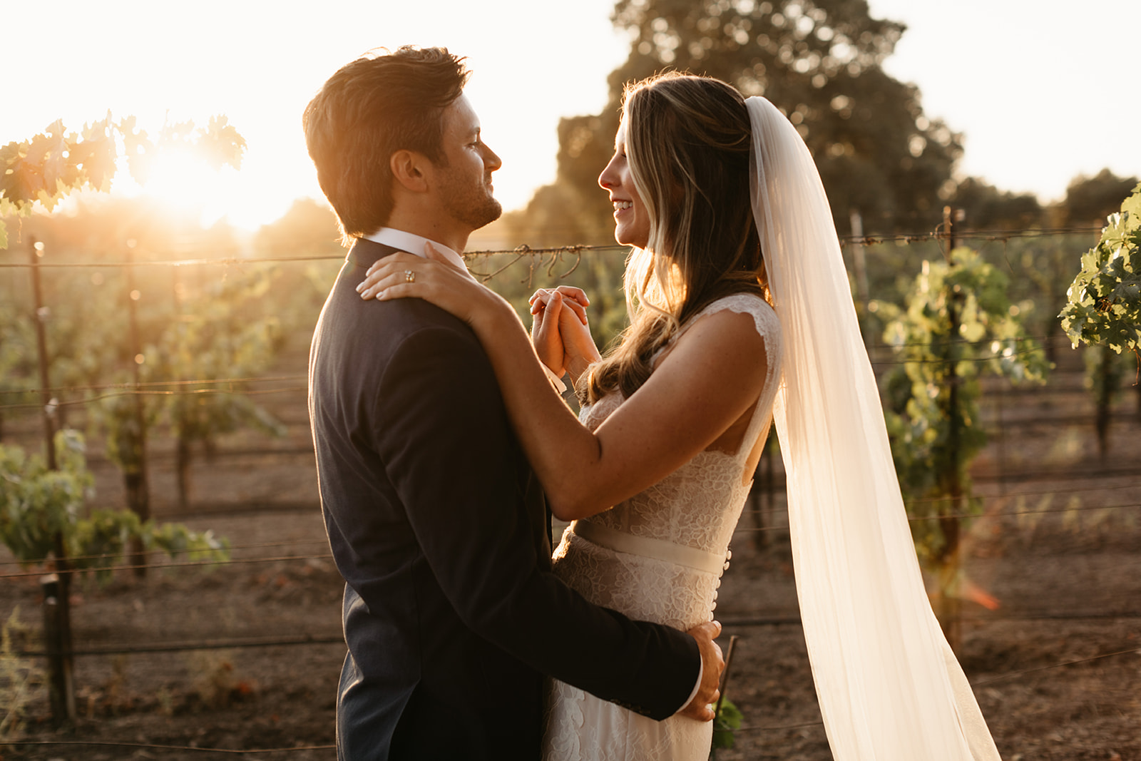 bride in lace dress and groom in dark blue suit take sunset portrait shots in vineyard at Roblar Winery