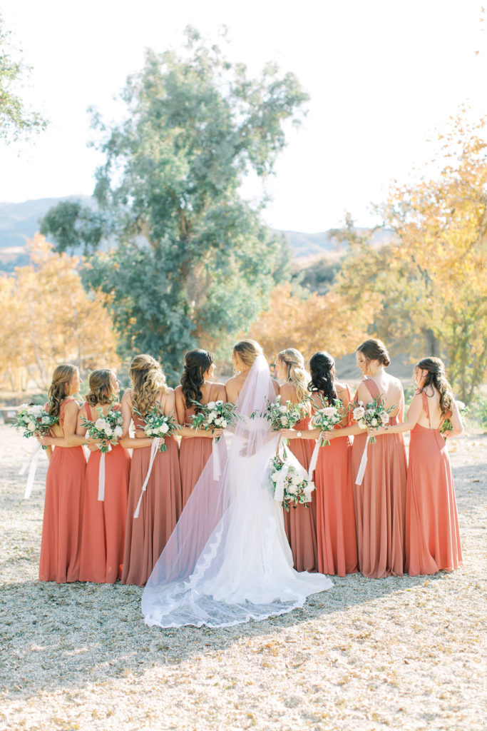 bride in lace wedding dress with bridesmaids in rust colored dresses portrait shot in vineyard