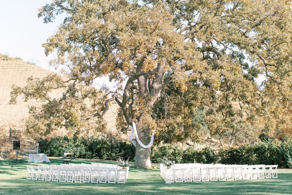 minimalist autumn wedding at Triunfo Creek Vineyards with simple white fabric hanging from tree
