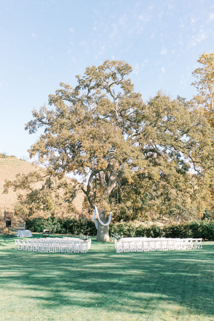 minimalist autumn wedding at Triunfo Creek Vineyards with simple white fabric hanging from tree