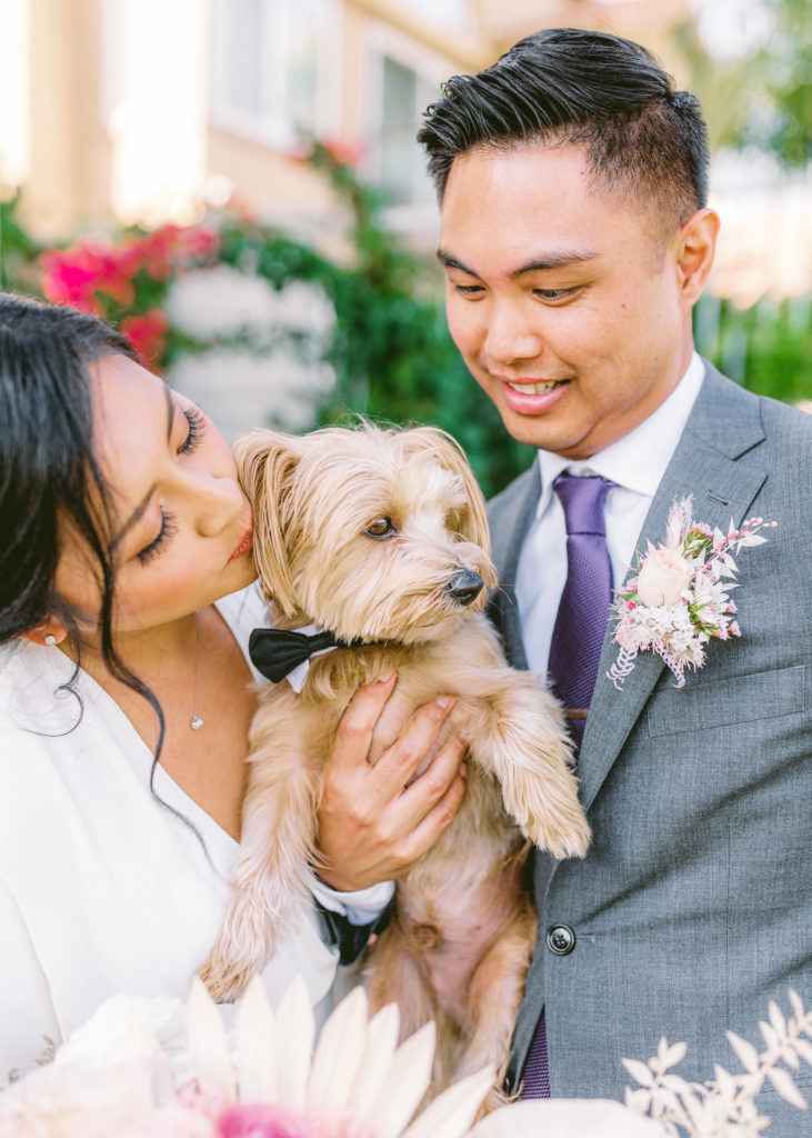 bride wearing Reformation wedding dress and groom with grey suit and purple tie portrait shot with family dog