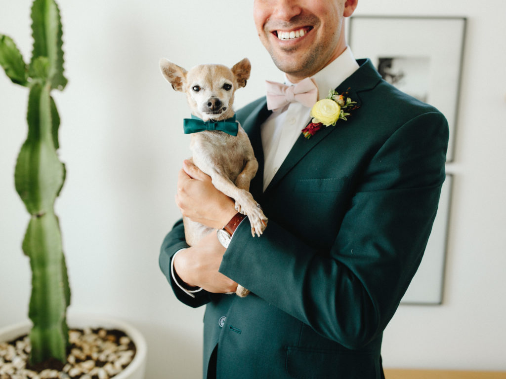 groom holds small chihuahua with a green bowtie before wedding