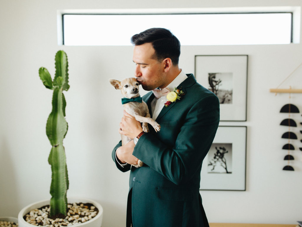 groom holds small chihuahua with a green bowtie before wedding