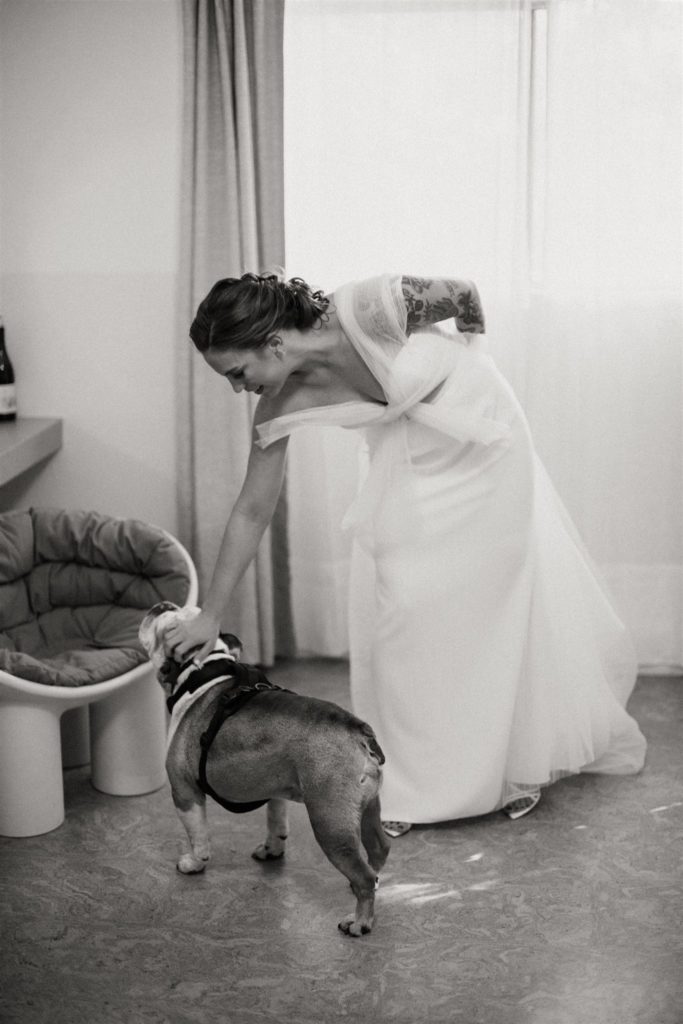 bride in asymmetrical dress pets dog before wedding
