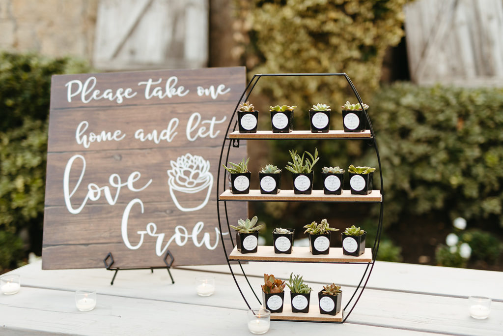 wedding welcome table with small succulent guest favors