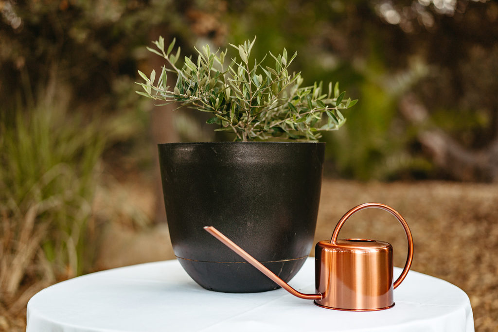 tree watering unity ceremony with copper watering can