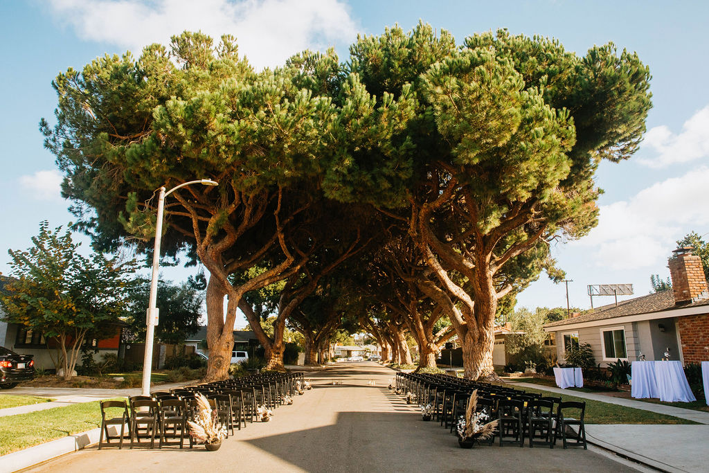 unique wedding ceremony under an urban canopy of trees in the middle of a residential street in Long Beach with dried floral aisle arrangements and black chairs