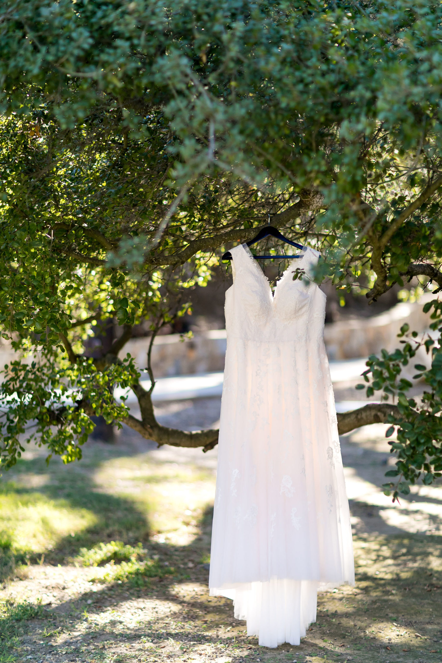 deep v wedding dress with lace overlay hangs from trees 