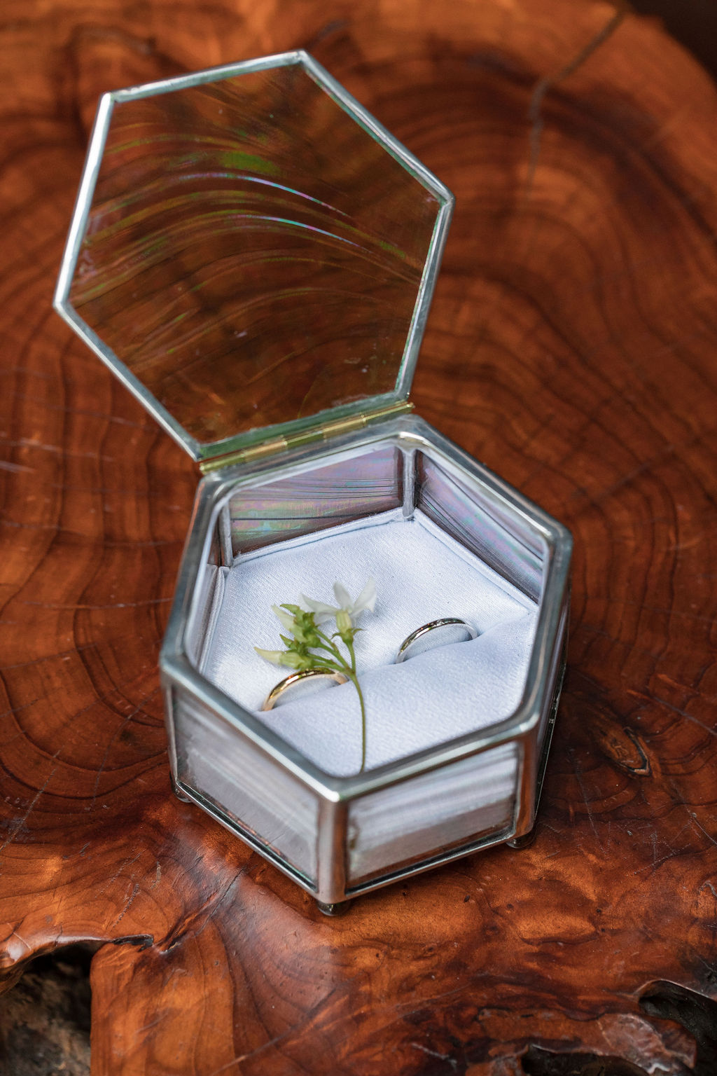 detail shot of gold and silver rings inside of glass hexagon box