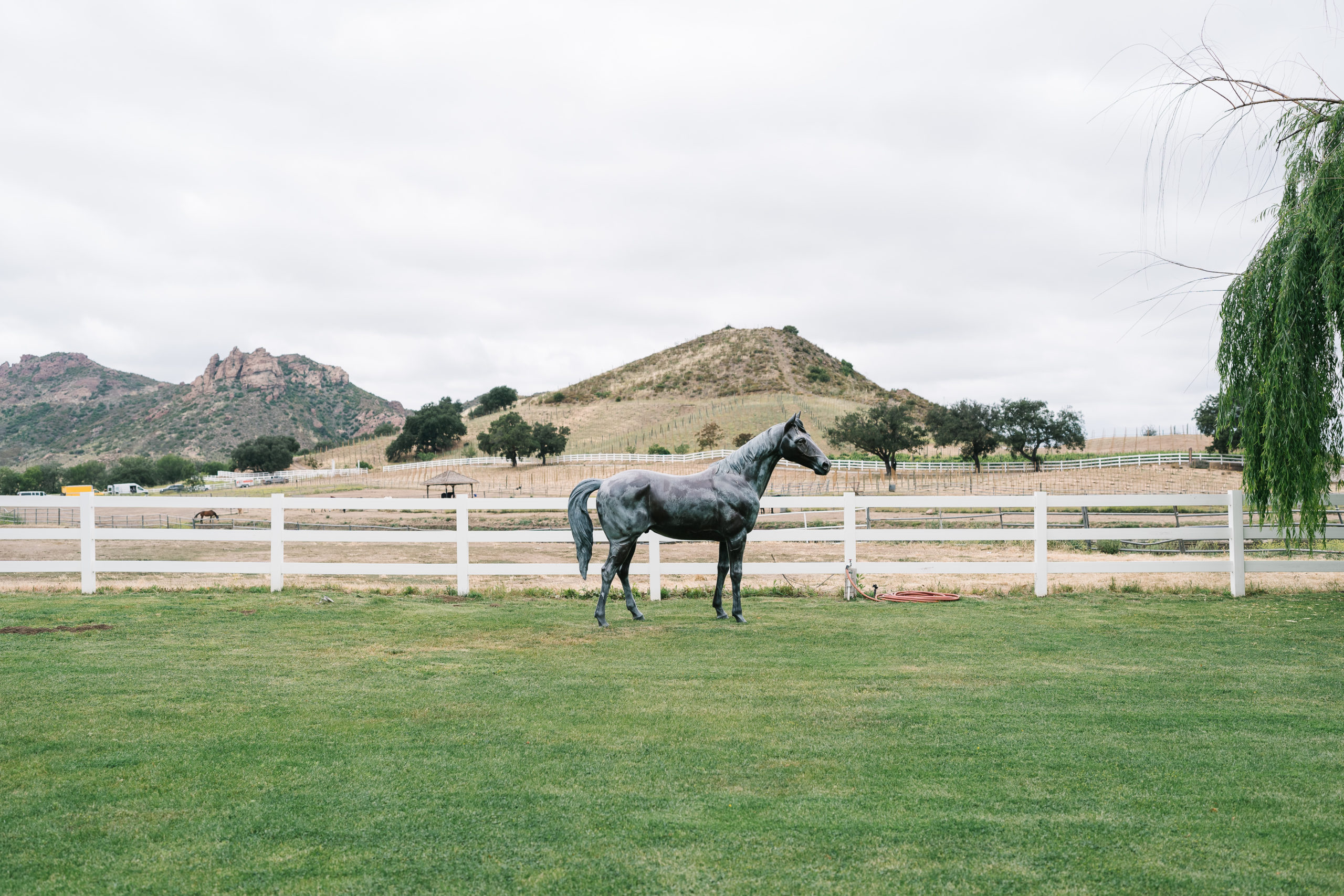 horse statue at Saddlerock Ranch