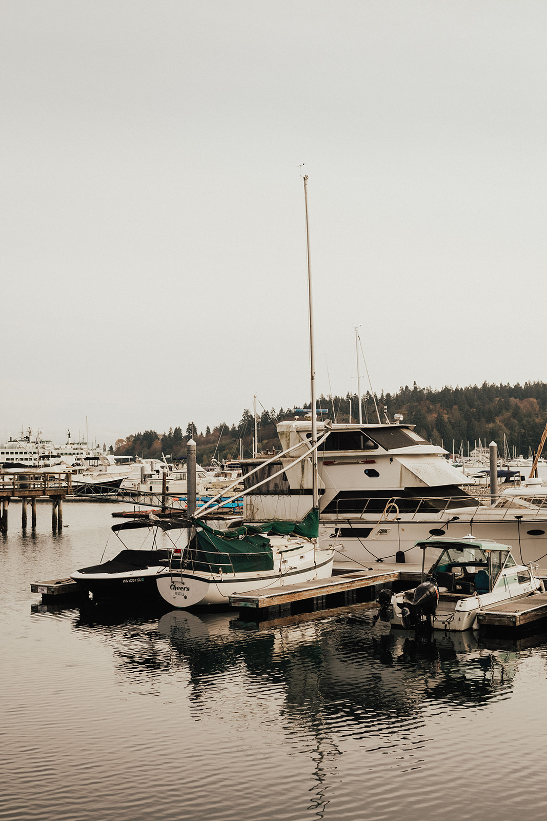 boats in water during fall in Seattle